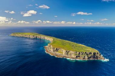 Des falaises abruptes, un vaste plateau où nichent au bas mot neuf espèces d’oiseaux marins, un reptile endémique, une histoire oubliée : Walpole le joyau écologique que les espèces envahissantes menacent. Cliché: Squale Odyssey.