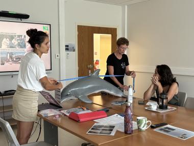 Claire Garrigue et Solène Derville, biologistes spécialistes des mammifères marins et chercheuses à l’UMR Entropie de l’IRD ont mis sur pied cette formation pour Opération Cétacés.