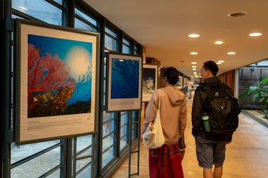 L'exposition se compose de 40 panneaux photographiques abordant de nombreuses thématiques liées au parc naturel de la mer de Corail. Cliché Nicolas Job, avril 2024.