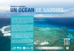 visuel_de_lexposition_un_ocean_de_savoirs.png