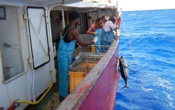 Campagne de pêche sur le navire Arau, DAM SPE