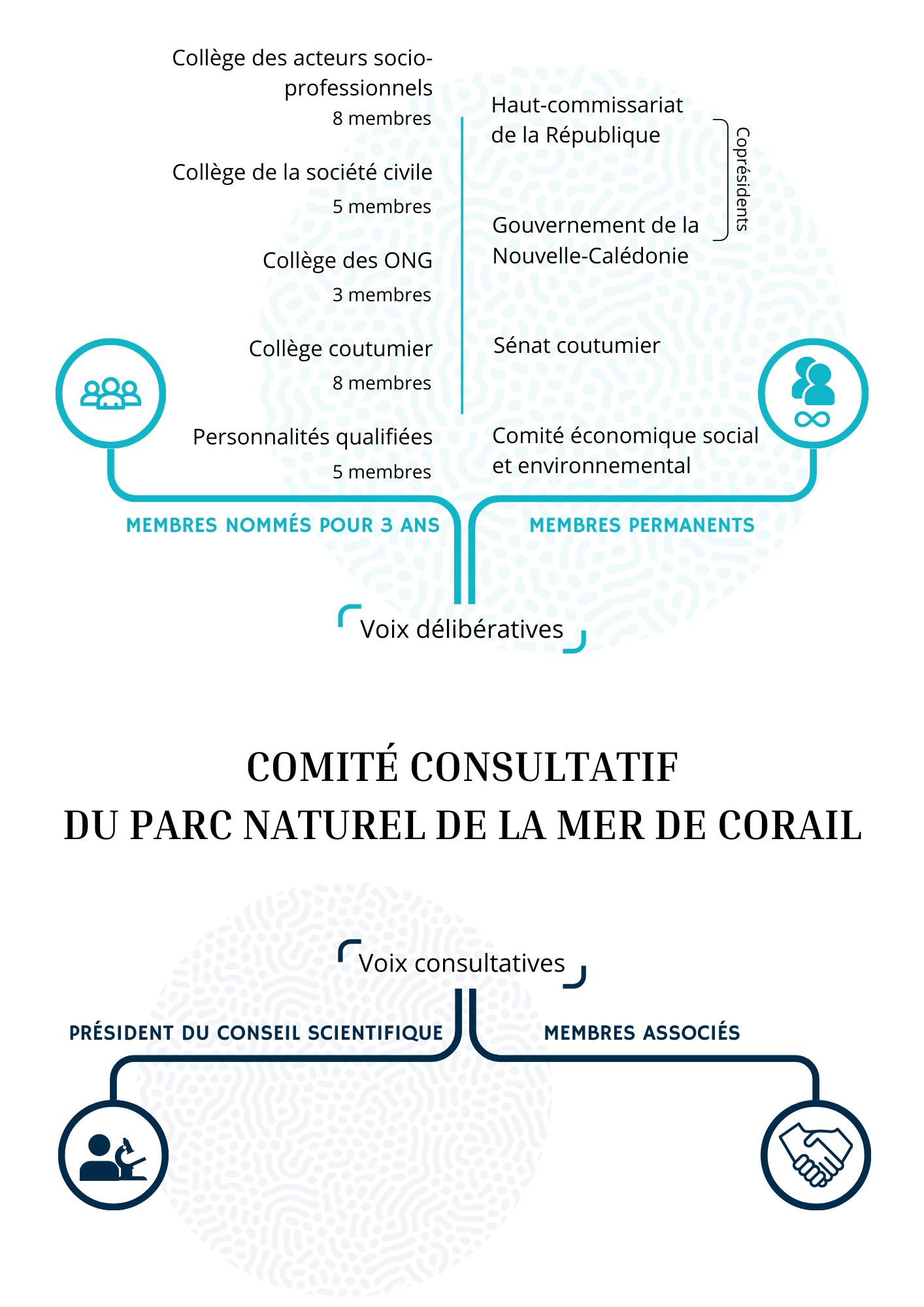 Le comité consultatif du parc naturel de la mer de Corail, novembre 2024