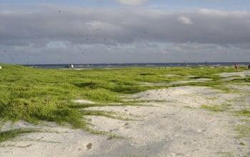 Ilot Fabre, atolls d'Entrecasteaux, DAM SPE