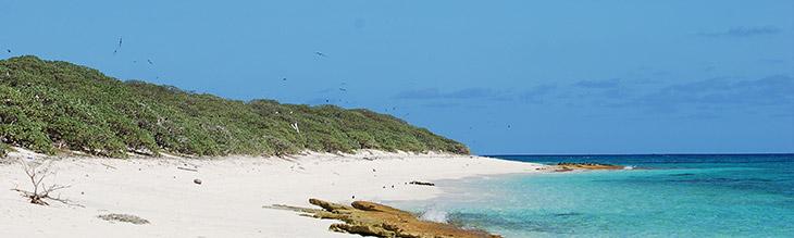 Ile longue, plateau des Chesterfield, Pierre Bachy, SCO Ile longue, plateau des Chesterfield, Pierre Bachy, SCO