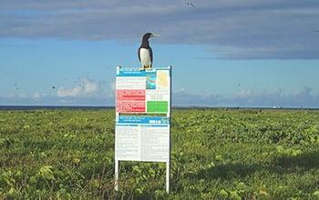 Ile Leleizour, atolls d'Entrecasteaux, DAM SPE Ile Leleizour, atolls d'Entrecasteaux, DAM SPE