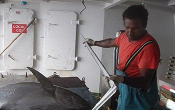  Measurement of a catch on the vessel Katia, DAM SPE