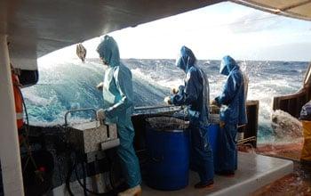 Fishing on board Pescana Résolu, DAM SPE