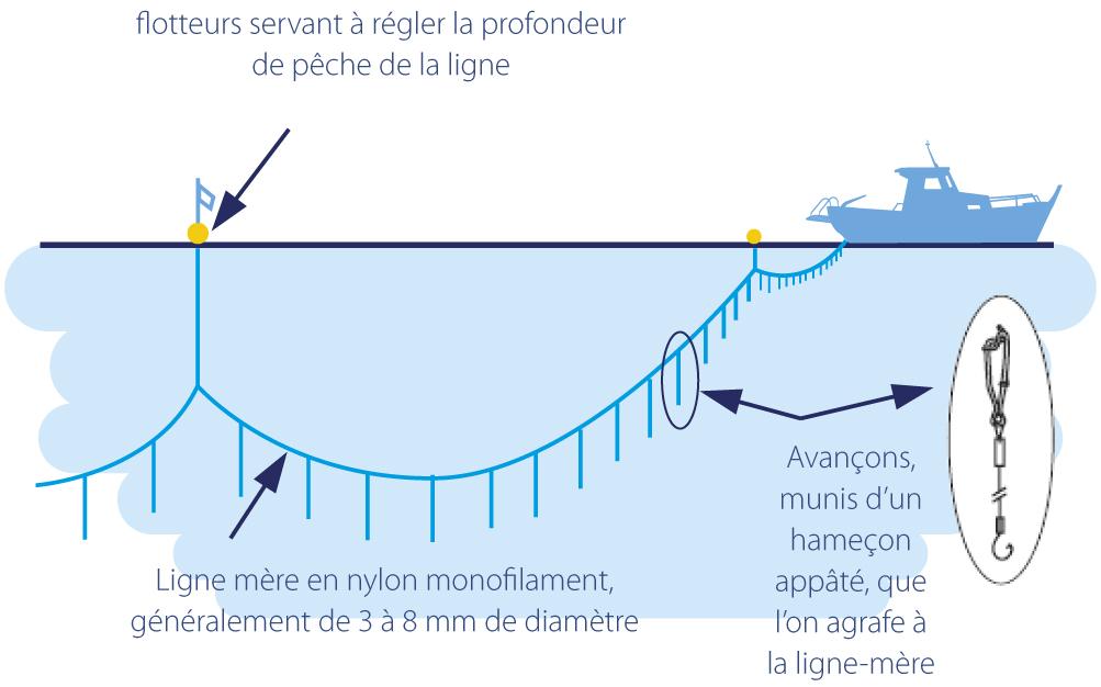 Le principe de la pêche à la palangre, © Push and Pull