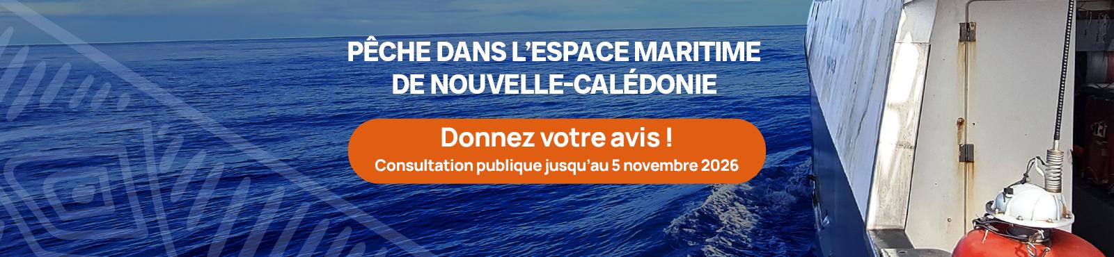 2026-10-bandeau-loi_peche_copy.jpg