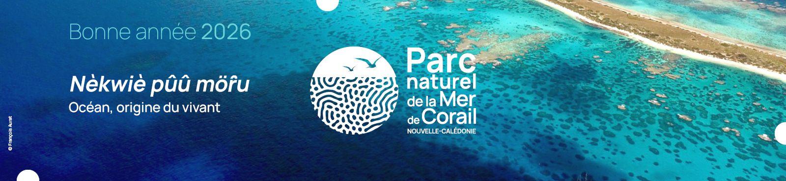bonne_annee_2026.jpg
