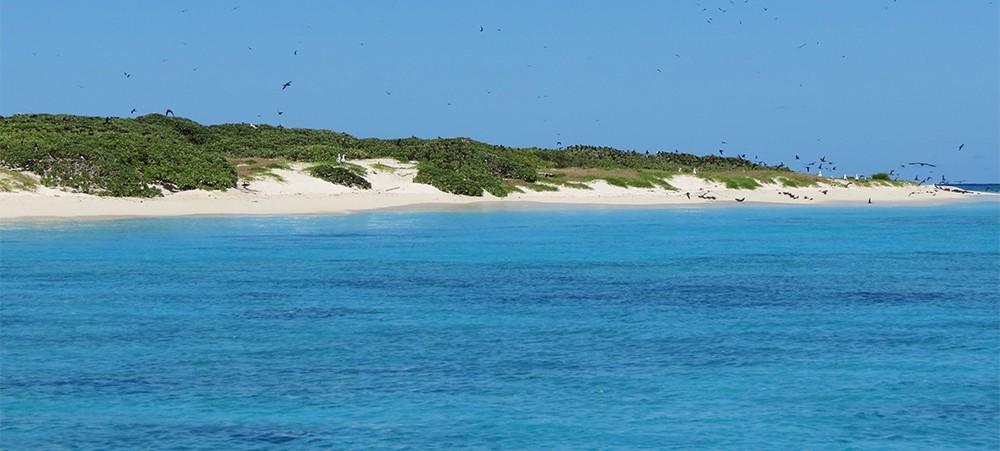 Faisant partie des 5 km2 de terres émergées du parc de la mer de Corail, l’îlot Leleizour est déjà classé en réserve intégrale.