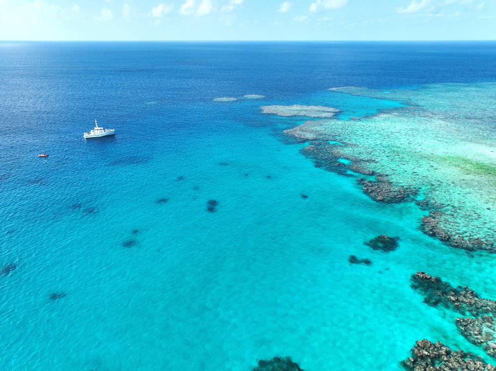 Atolls d'Entrecasteaux, mission Tictac (IRD) - (c) Mohsen Kayal, 2024.