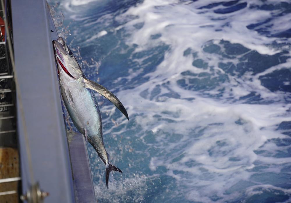 Au-delà de l’enjeu juridique, cette consultation s’inscrit dans une démarche d’ouverture et de concertation avec l’ensemble des parties prenantes. (c) Tom Day - Fishtek