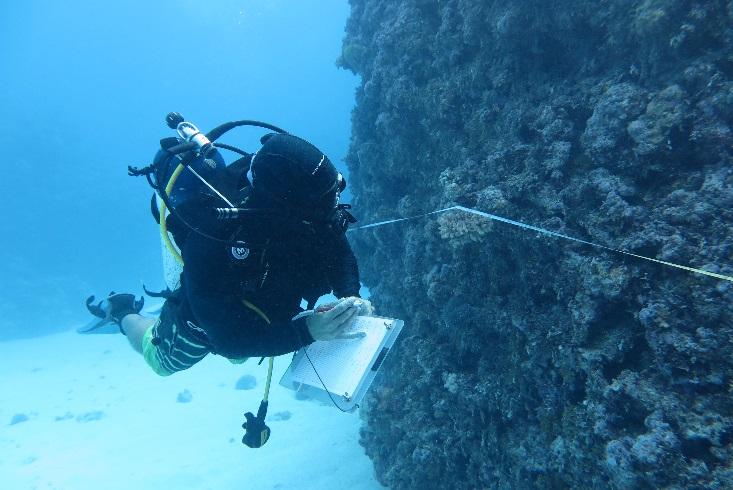 Surveying a reef in the Coral sea Marine Park ©Daniela Ceccarelli