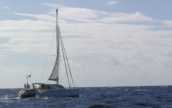 En visite dans le parc à bord d'un catamaran, DAM,SPE