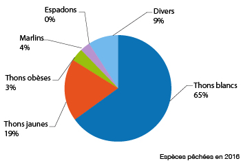 Espèces pêchées en 2016